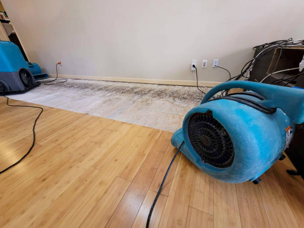 Professional Sewage Cleanup technician working in Saint Johns, AZ